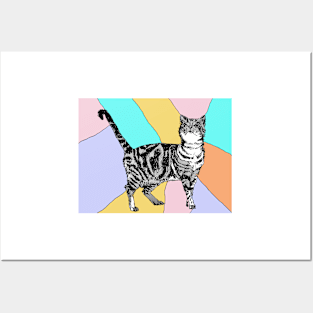 Tabby Cat Striped Cute Cats - Pastel Rainbow Posters and Art